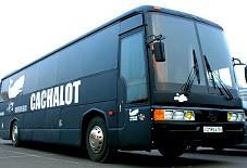Dancing Bus: Cachalot Cachalot Красноярск