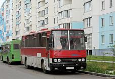 ЗакБас: Икарус 250 Икарус 250 Красноярск