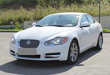Jaguar XF  Новосибирск