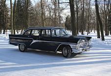 Чайка Санкт-Петербург