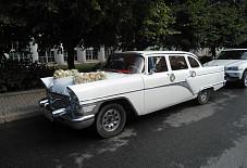 Чайка Санкт-Петербург