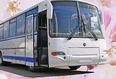 Авто-свадьба: Аврора Аврора Киров