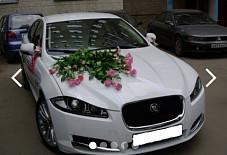 Jaguar Тамбов