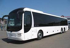 MAN Lions Regio Архангельск