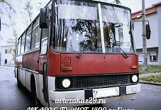 ИКАРУС-ТУРИСТ Архангельск