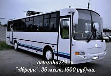 Аврора Архангельск