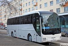 Ман Лион Ставрополь