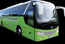 Golden Dragon Санкт-Петербург