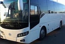 Golden Dragon Иннополис