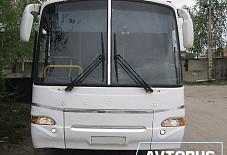 Avtobus 46: Аврора Аврора Курск