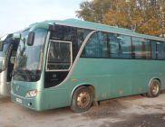 Голден Дракон 6896 Рязань