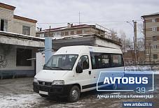 Fiat Ducato Гвардейск