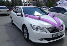 Мята: Toyota Camry Toyota Camry Тюмень