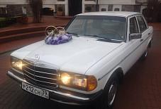 Балтийский Кортеж: Mercedes W123 Mercedes W123 Калининград