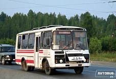 Avtobus 45: ПАЗ 3205 ПАЗ 3205 Курган