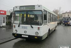 Avtobus 45: ЛиАЗ 5256 ЛиАЗ 5256 Курган