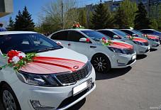Kia Rio Пенза