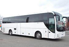 Man Lion's Саранск