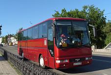 A03 Lion's Star Саранск