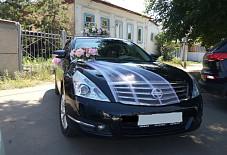 Альянс-Кортеж.: Nissan Teana Nissan Teana Оренбург