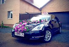 Центр Автопроката: Nissan Teana Nissan Teana Оренбург