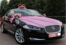 Выездная Регистрация: Jaguar Jaguar Оренбург