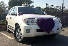 Выездная Регистрация: Toyota Land Cruiser 200 Toyota Land Cruiser 200 Оренбург