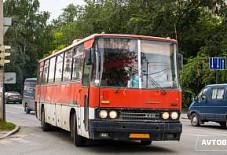 avtobus121: Икарус 250 Икарус 250 Чебоксары