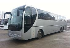 Man Lions Coach R08 Орел