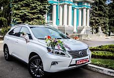 Трансфер-Ульяновск: Lexus RX 350 Lexus RX 350 Ульяновский район