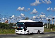 HIGER Берёзовский