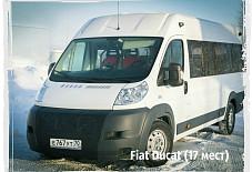 СибЛайн: Fiat Ducato Fiat Ducato Томск
