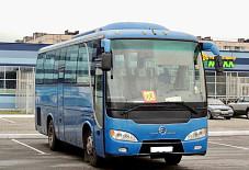 Golden Dragon Великий Новгород