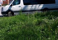 WV Смоленская область